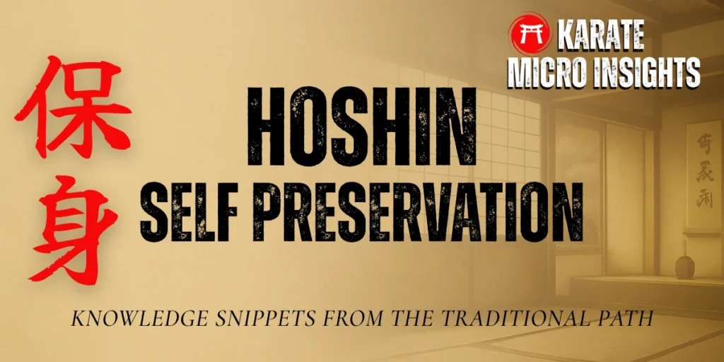 micro insights hoshin