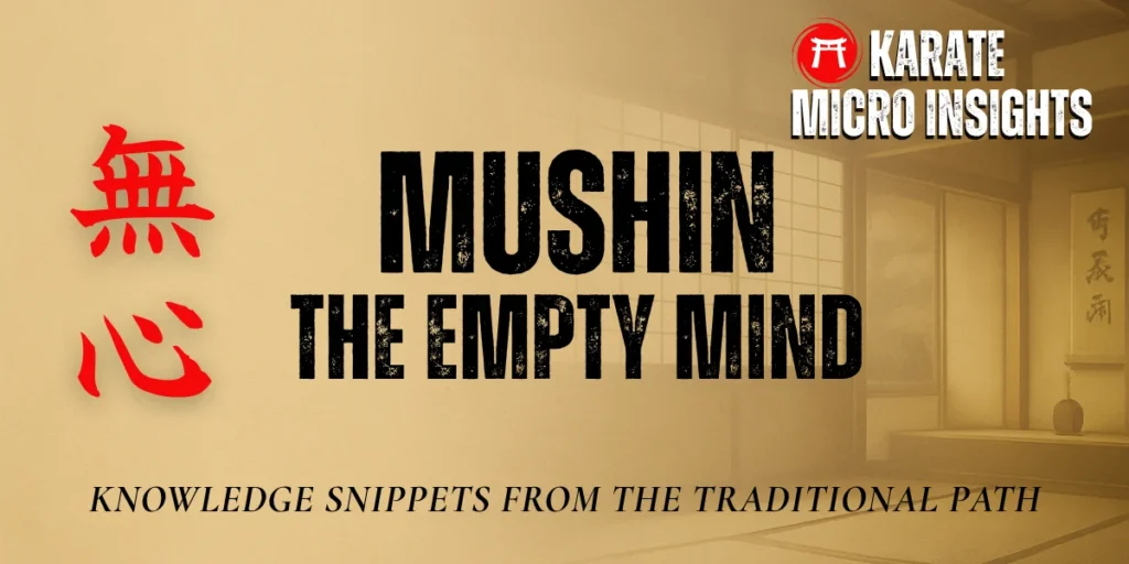 mushin- empty mind