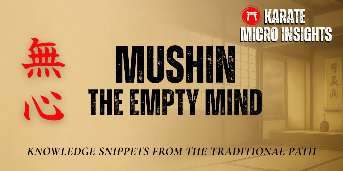 mushin -the empty mind