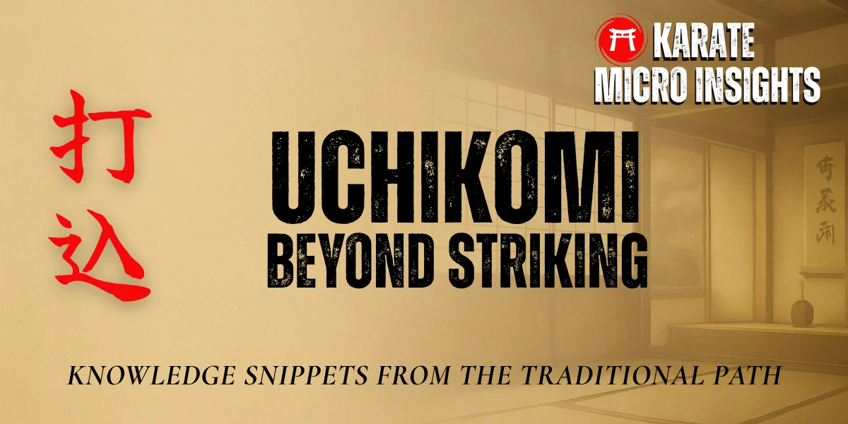 micro insights Uchikomi